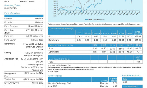 fbm small cap index