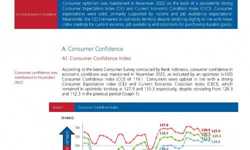 Indonesia: Consumer Expectation Survey - November 2022 - IslamicMarkets.com