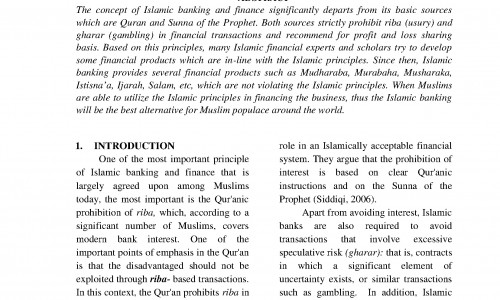 islamic social finance a literature review and future research directions